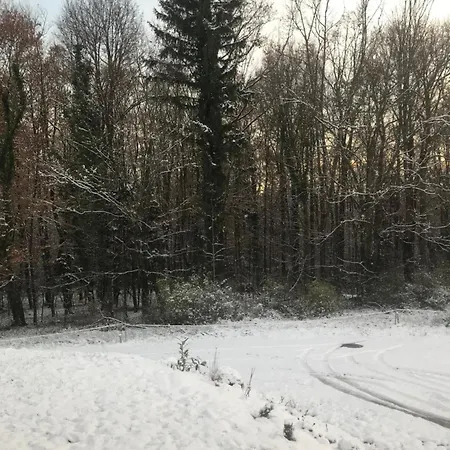 Achtsame Oase Apfelland Stubenbergsee